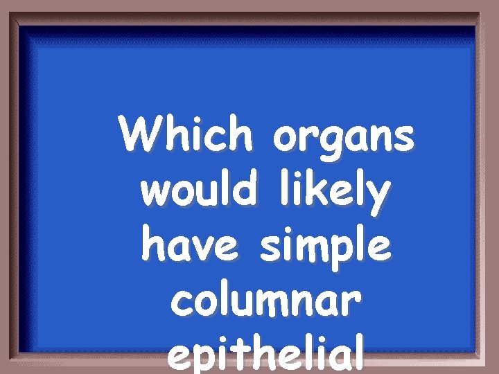 Which organs would likely have simple columnar epithelial 