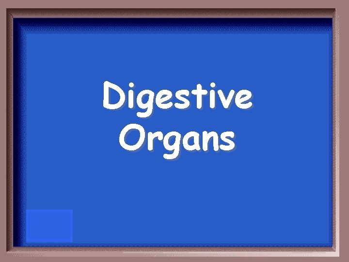 Digestive Organs 