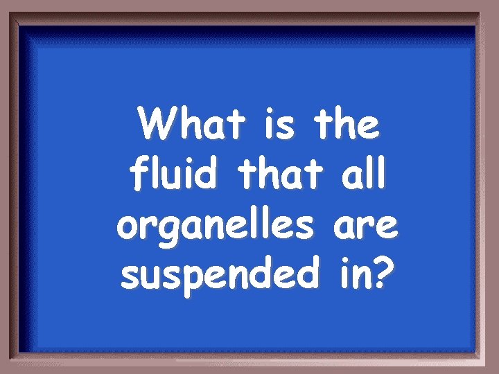 What is the fluid that all organelles are suspended in? 