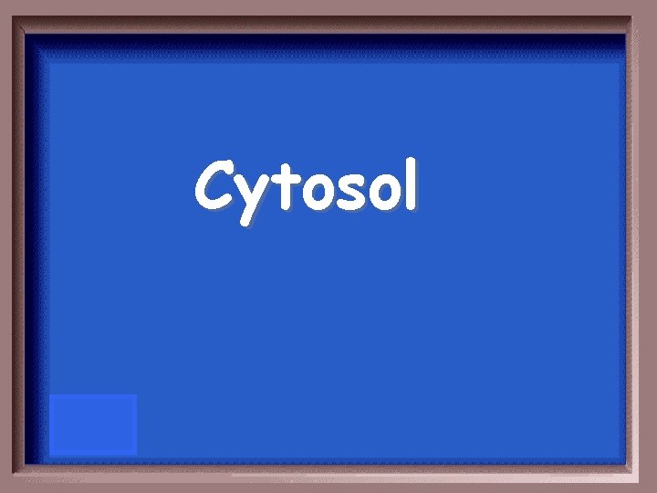 Cytosol 