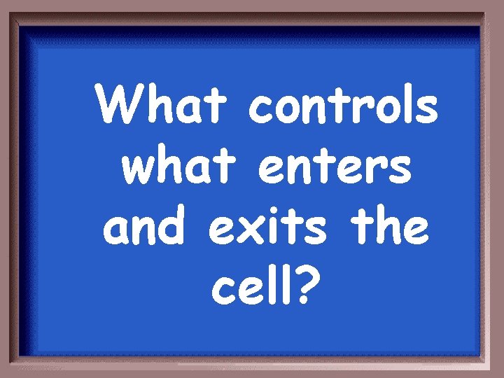 What controls what enters and exits the cell? 