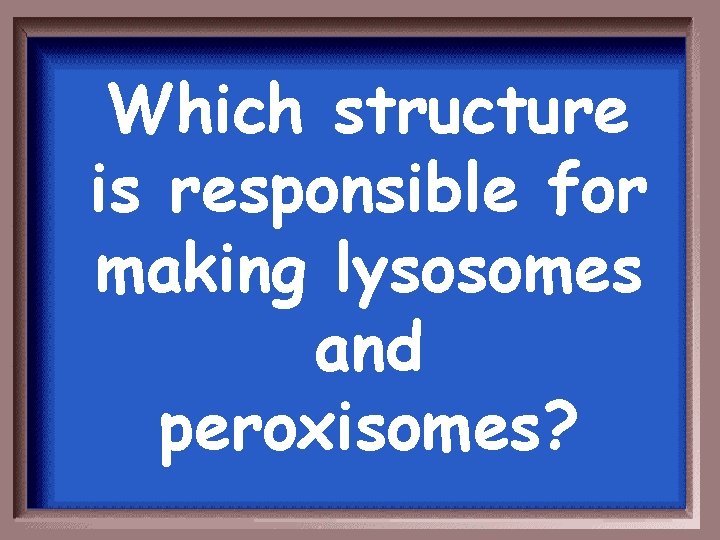 Which structure is responsible for making lysosomes and peroxisomes? 