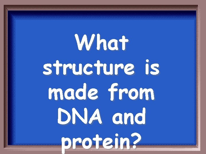 What structure is made from DNA and protein? 