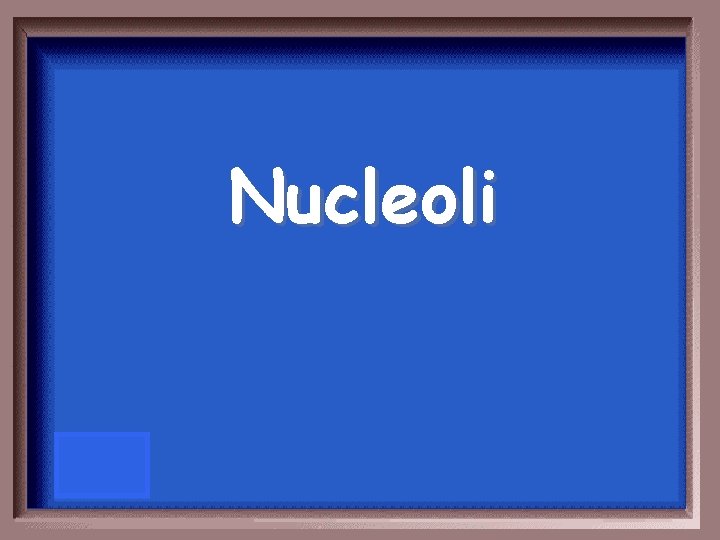 Nucleoli 