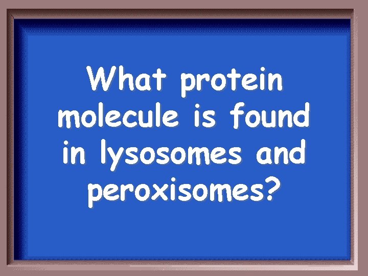 What protein molecule is found in lysosomes and peroxisomes? 