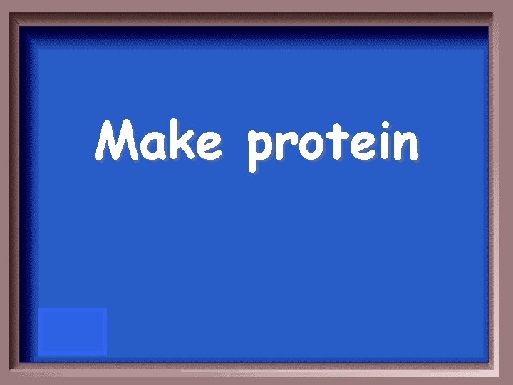 Make protein 