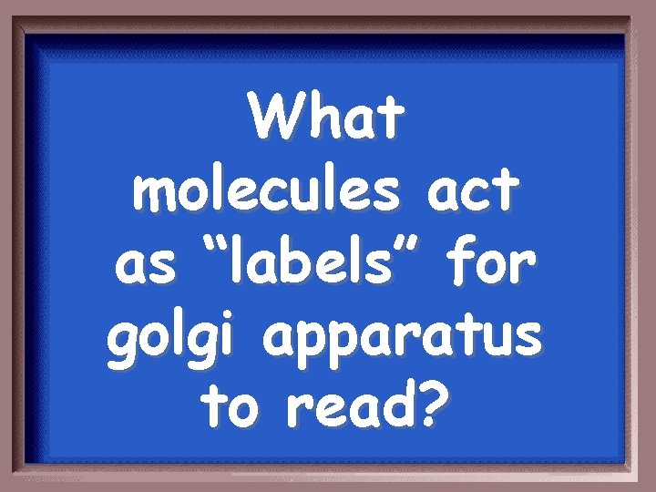 What molecules act as “labels” for golgi apparatus to read? 