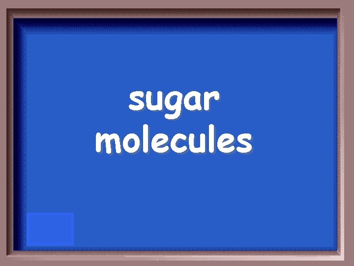 sugar molecules 