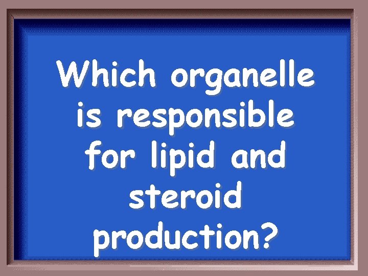 Which organelle is responsible for lipid and steroid production? 