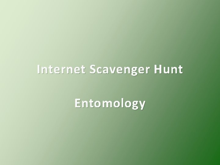 Internet Scavenger Hunt Entomology 