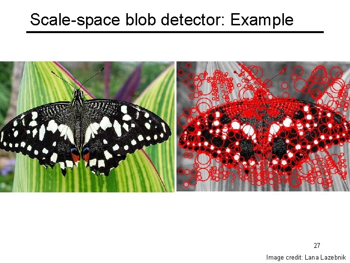 Scale-space blob detector: Example 27 Image credit: Lana Lazebnik 