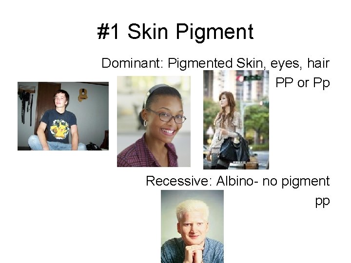 #1 Skin Pigment Dominant: Pigmented Skin, eyes, hair PP or Pp Recessive: Albino- no