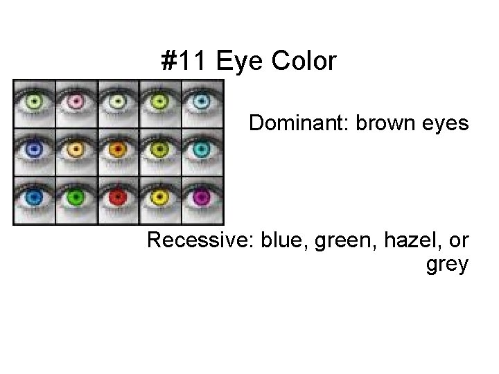 #11 Eye Color Dominant: brown eyes Recessive: blue, green, hazel, or grey 