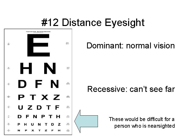 #12 Distance Eyesight Dominant: normal vision Recessive: can’t see far These would be difficult