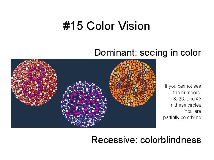 #15 Color Vision Dominant: seeing in color If you cannot see the numbers: 8,