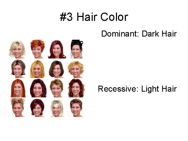 #3 Hair Color Dominant: Dark Hair Recessive: Light Hair 