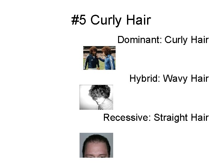 #5 Curly Hair Dominant: Curly Hair Hybrid: Wavy Hair Recessive: Straight Hair 