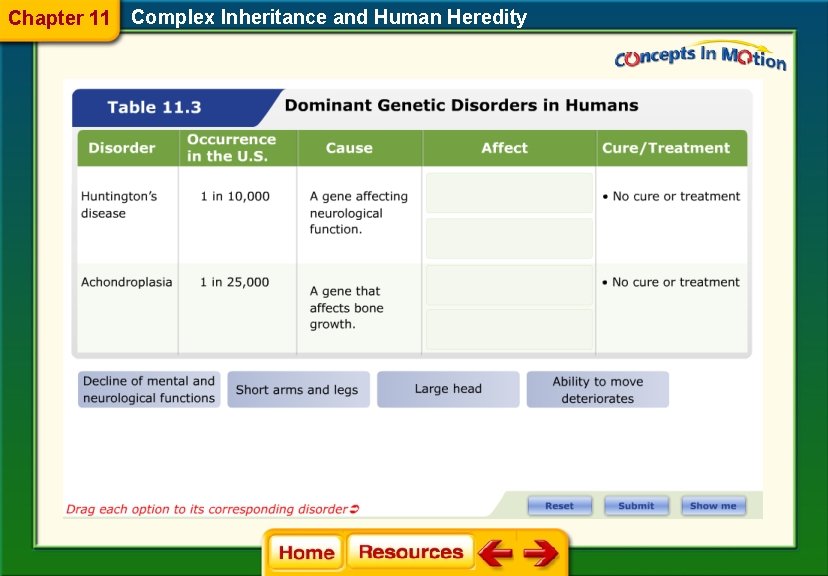 Chapter 11 Complex Inheritance and Human Heredity 