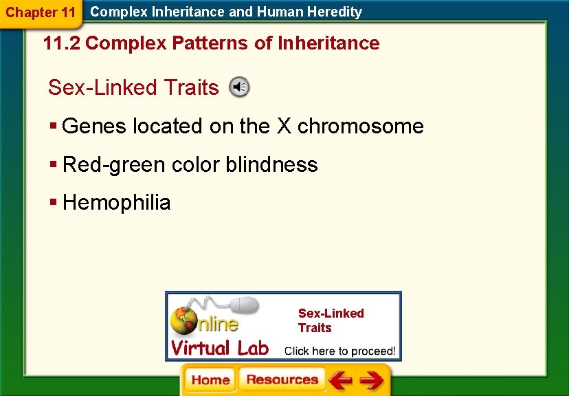 Chapter 11 Complex Inheritance and Human Heredity 11. 2 Complex Patterns of Inheritance Sex-Linked