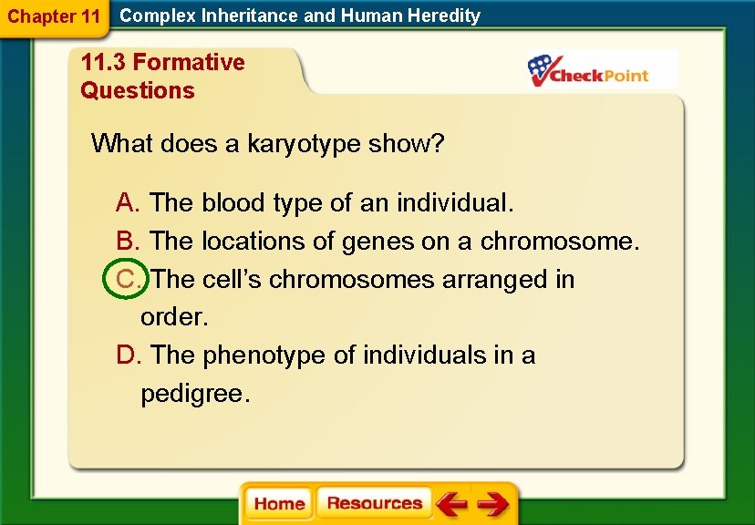 Chapter 11 Complex Inheritance and Human Heredity 11. 3 Formative Questions What does a