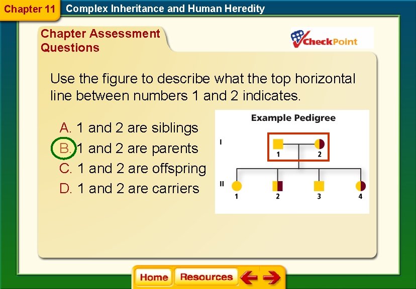 Chapter 11 Complex Inheritance and Human Heredity Chapter Assessment Questions Use the figure to