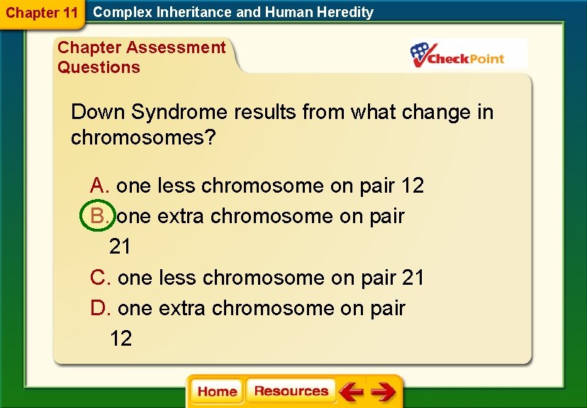 Chapter 11 Complex Inheritance and Human Heredity Chapter Assessment Questions Down Syndrome results from