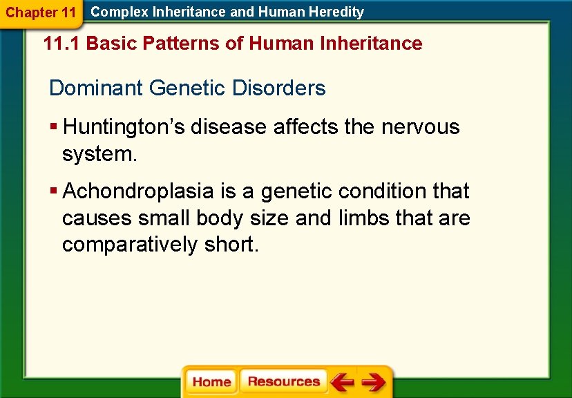 Chapter 11 Complex Inheritance and Human Heredity 11. 1 Basic Patterns of Human Inheritance