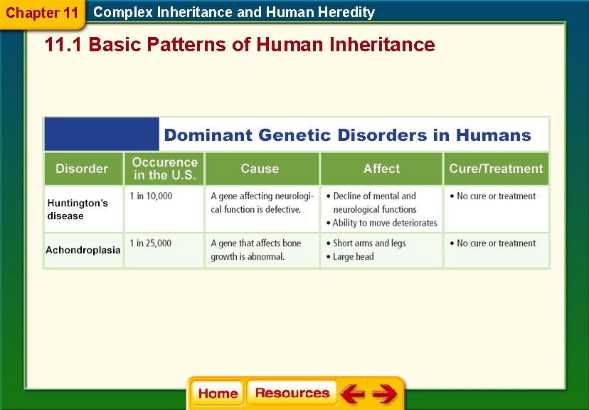 Chapter 11 Complex Inheritance and Human Heredity 11. 1 Basic Patterns of Human Inheritance