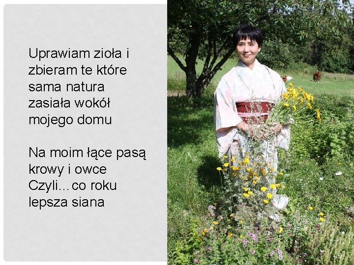 Uprawiam zioła i zbieram te które sama natura zasiała wokół mojego domu Na moim