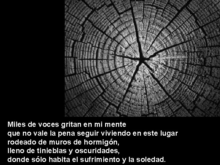 Miles de voces gritan en mi mente que no vale la pena seguir viviendo