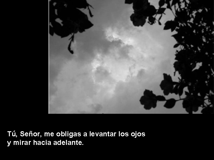 Tú, Señor, me obligas a levantar los ojos y mirar hacia adelante. 