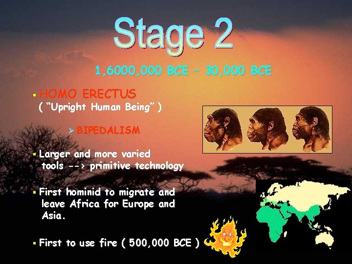 1, 6000, 000 BCE – 30, 000 BCE § HOMO ERECTUS ( “Upright Human