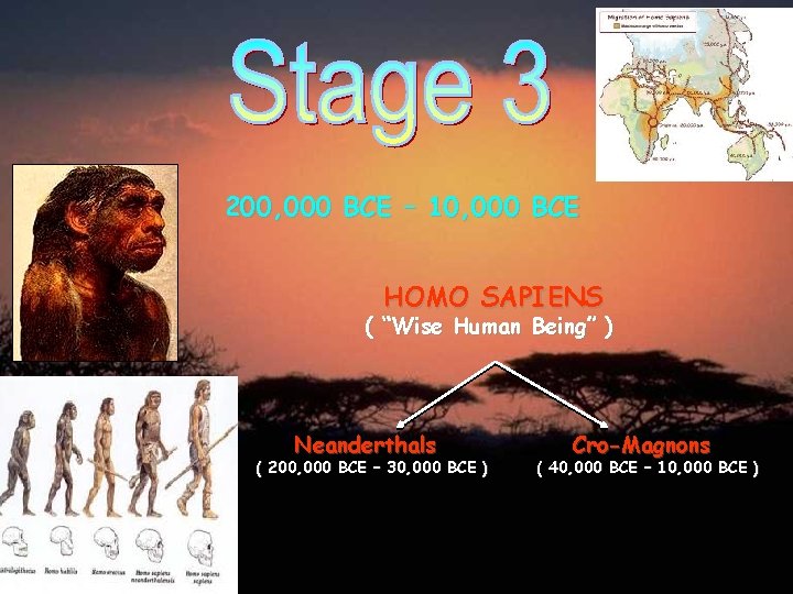 200, 000 BCE – 10, 000 BCE HOMO SAPIENS ( “Wise Human Being” )