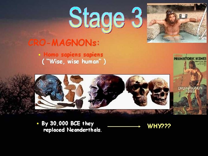 CRO-MAGNONs: § Homo sapiens ( “Wise, wise human” ) § By 30, 000 BCE