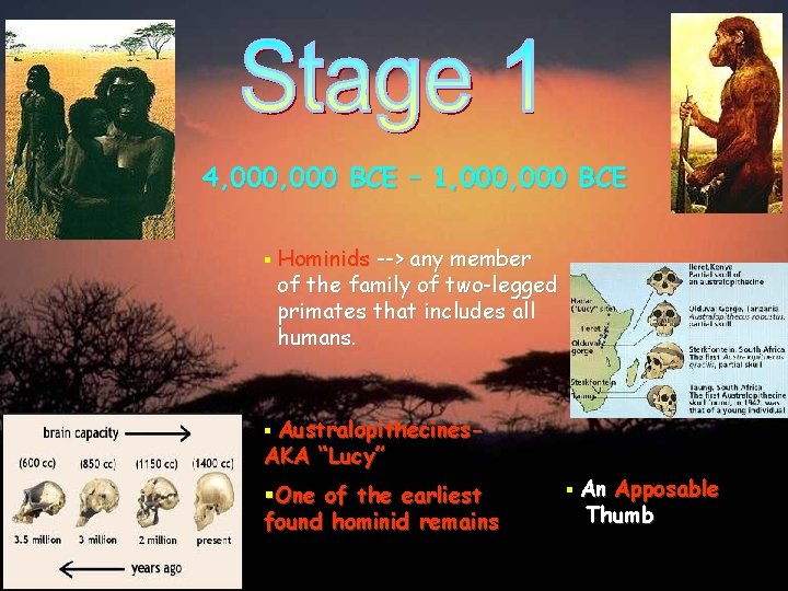 4, 000 BCE – 1, 000 BCE § Hominids --> any member of the