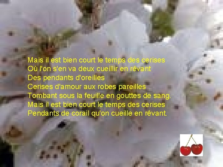 Mais il est bien court le temps des cerises Où l'on s'en va deux