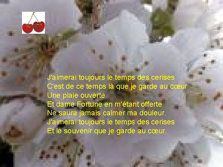 J'aimerai toujours le temps des cerises C'est de ce temps là que je garde