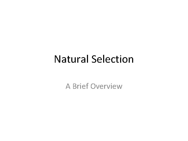 Natural Selection A Brief Overview 