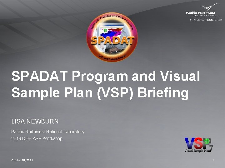 SPADAT Program and Visual Sample Plan (VSP) Briefing LISA NEWBURN Pacific Northwest National Laboratory