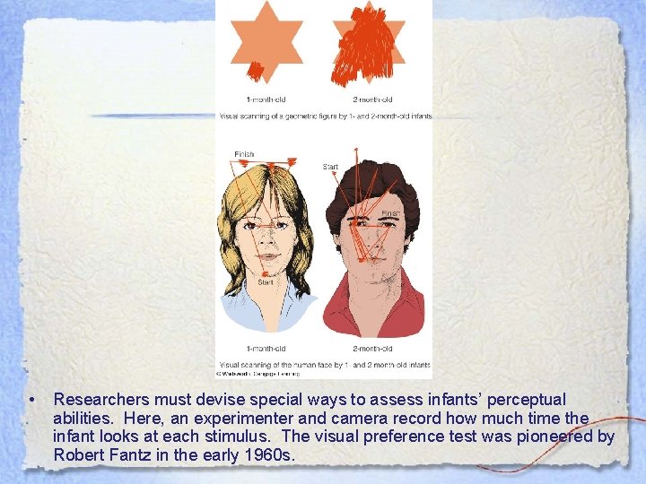  • Researchers must devise special ways to assess infants’ perceptual abilities. Here, an