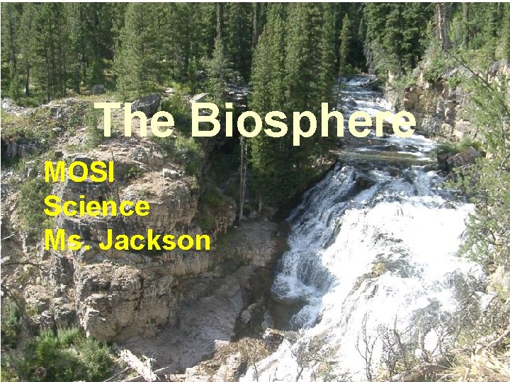 The Biosphere MOSI Science Ms. Jackson 
