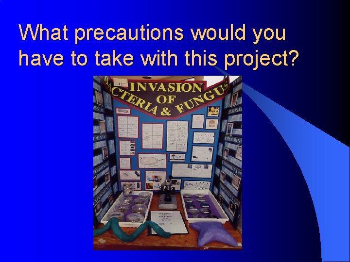 What precautions would you have to take with this project? 
