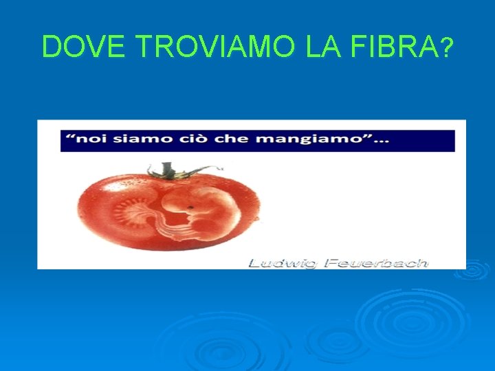 DOVE TROVIAMO LA FIBRA? 