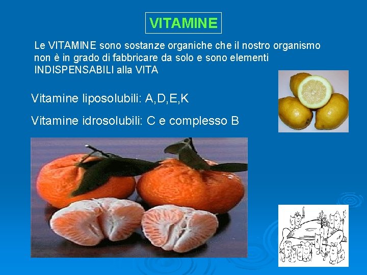 VITAMINE Le VITAMINE sono sostanze organiche il nostro organismo non è in grado di