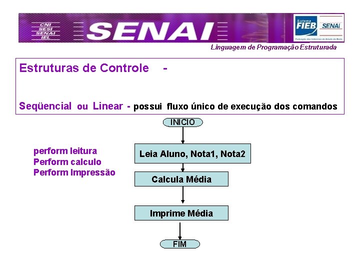 Linguagem de Programação Estruturada Estruturas de Controle - Seqüencial ou Linear - possui fluxo