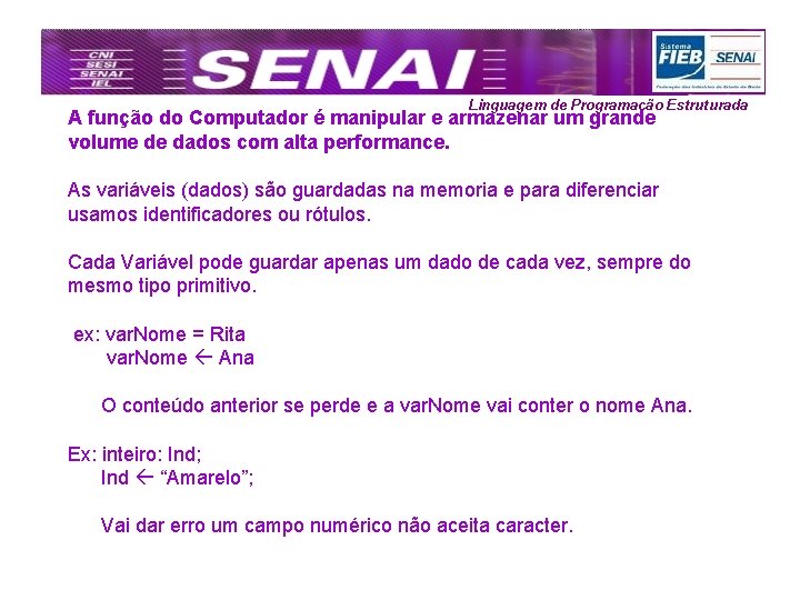 Linguagem de Programação Estruturada A função do Computador é manipular e armazenar um grande