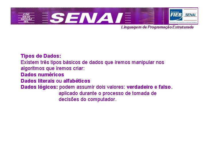 Linguagem de Programação Estruturada Tipos de Dados: Existem três tipos básicos de dados que