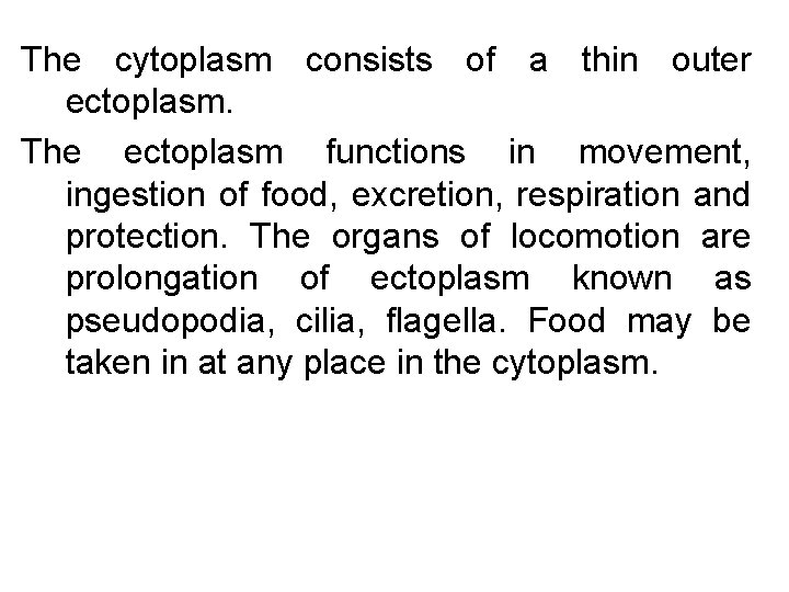 The cytoplasm consists of a thin outer ectoplasm. The ectoplasm functions in movement, ingestion
