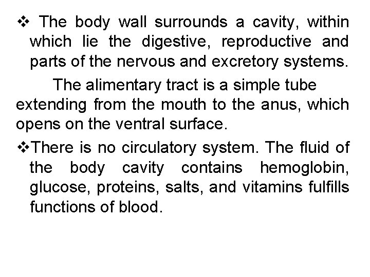 v The body wall surrounds a cavity, within which lie the digestive, reproductive and