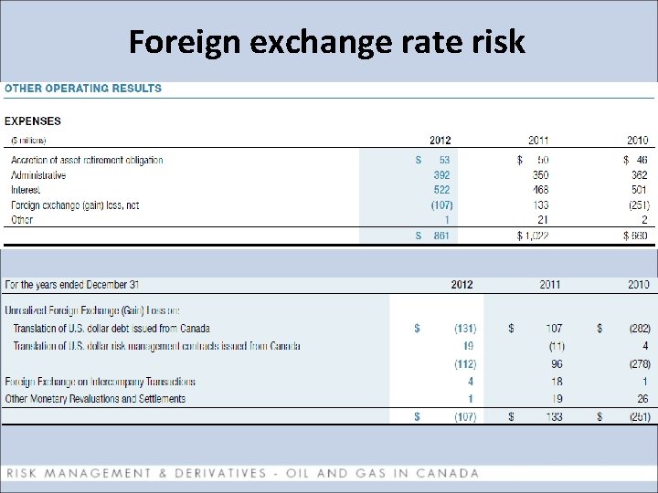 Foreign exchange rate risk 